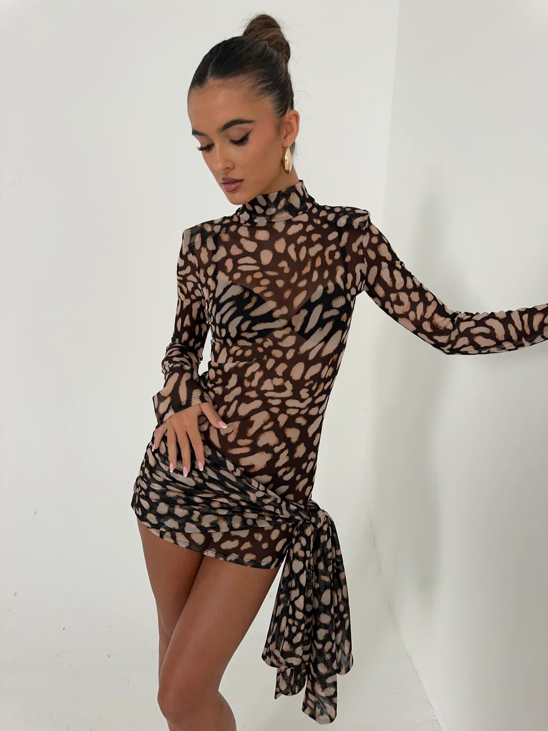 Sheer Tie Dress