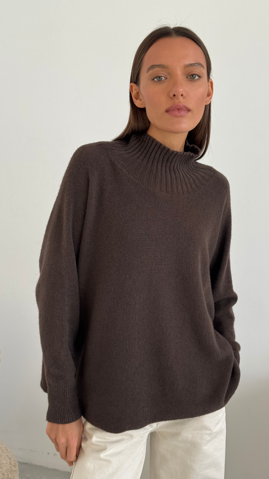 Knit Cozy Pullover Style Sweater