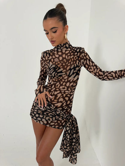 Sheer Tie Dress