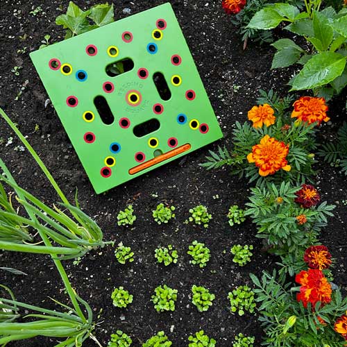Seeding Square - Ultimate Garden Template + 'Seed 2 Splendor' Guidebook