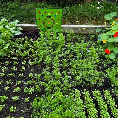 Seeding Square - Ultimate Garden Template + 'Seed 2 Splendor' Guidebook
