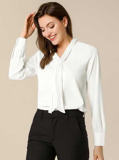Long Sleeve Pleated Chiffon Blouse
