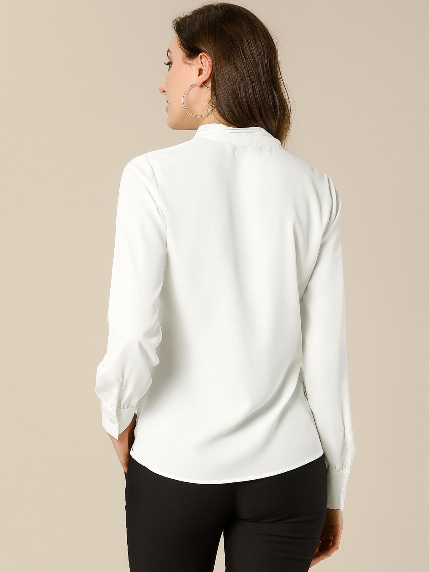 Long Sleeve Pleated Chiffon Blouse
