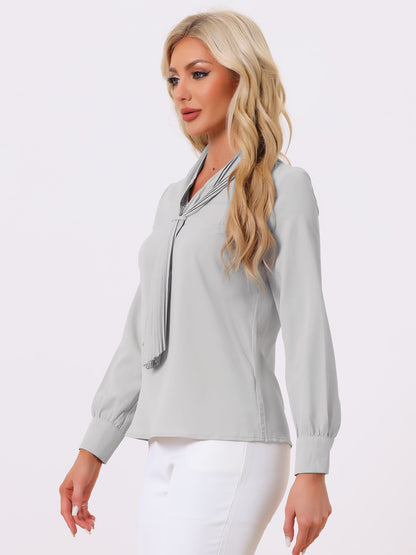 Long Sleeve Pleated Chiffon Blouse