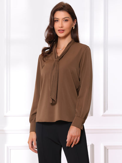 Long Sleeve Pleated Chiffon Blouse